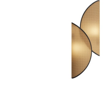 Настенный светильник (бра) MAYTONI ORGANIC MOD225WL-02B2